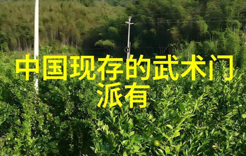 一魔二佛三道四侠五绝二郎派拳种之争