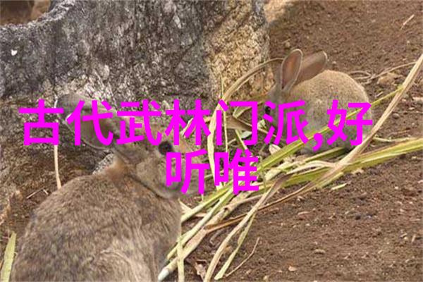 灵魂在空中飞翔肉身在地上搏杀探索不同风格的武功体系