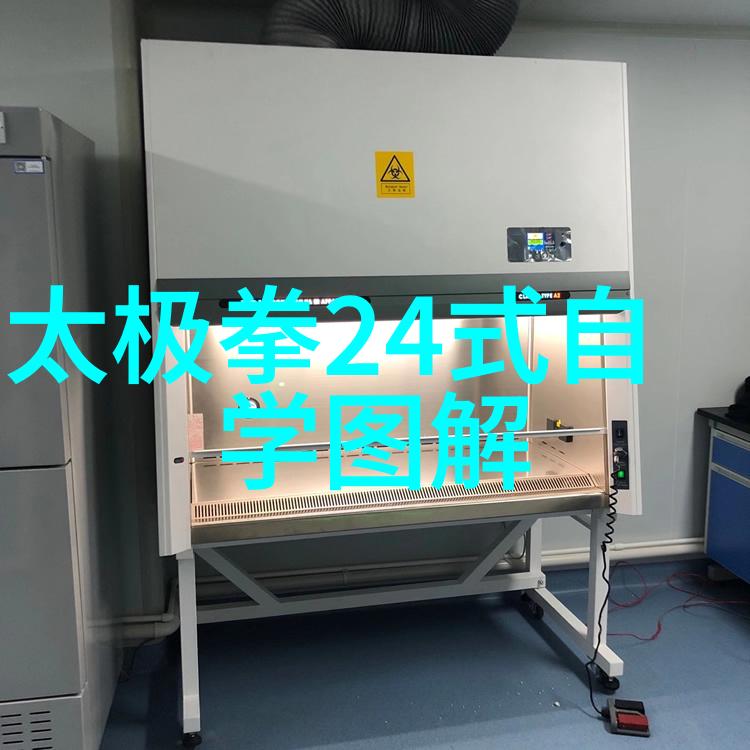 武术活动名称大全揭秘传统与现代的艺术组合