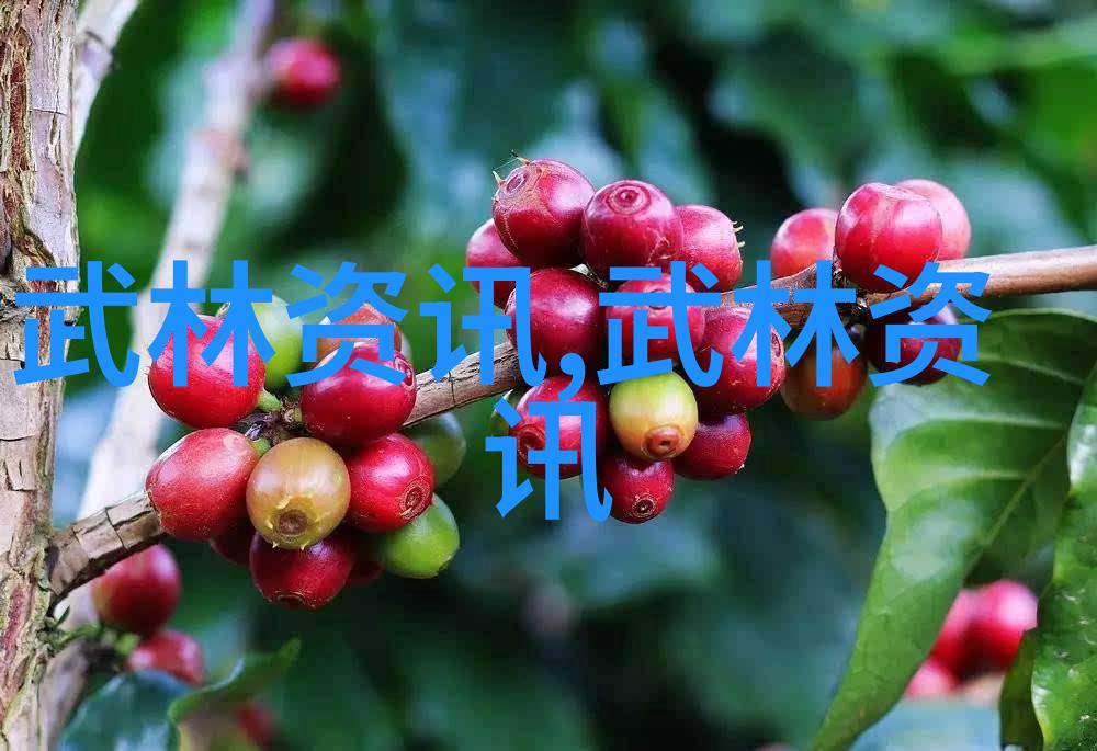 探秘禁漫天地址解锁18C.MIC安卓世界的神秘之门