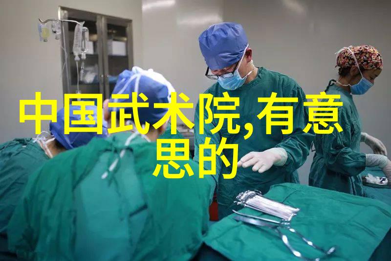 中国武术拳法之多探索与掌握真功夫的正确训练法-顾新法