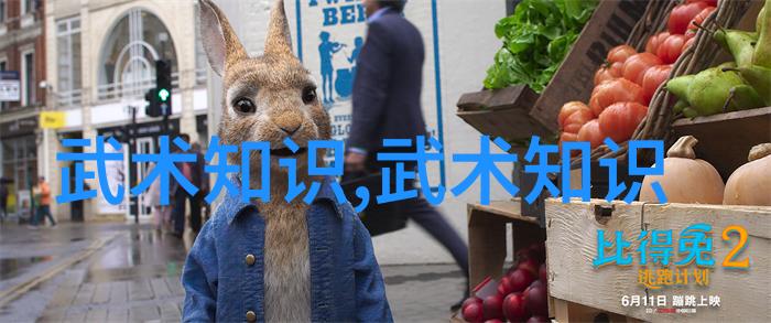 武林秘笈揭秘中国武术流派的笑话版