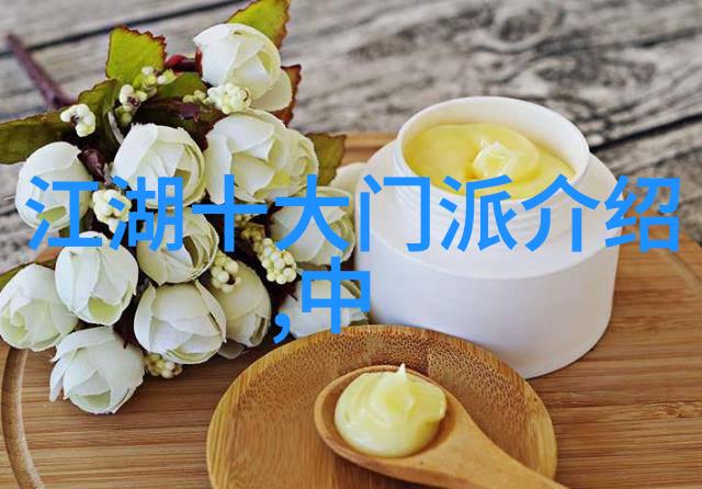 中国功夫拳法系统研究古代武学技巧与现代应用探究