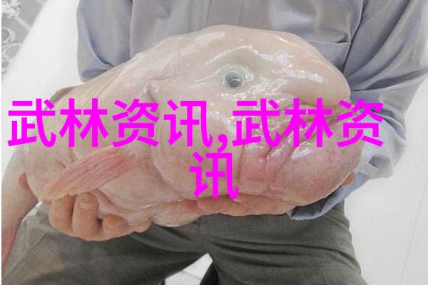 风行钓具在自然的漠然中哪个品牌的台钓竿最为人称道