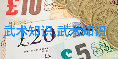 中国武术十大拳法排名古韵沉淀中的精英之选