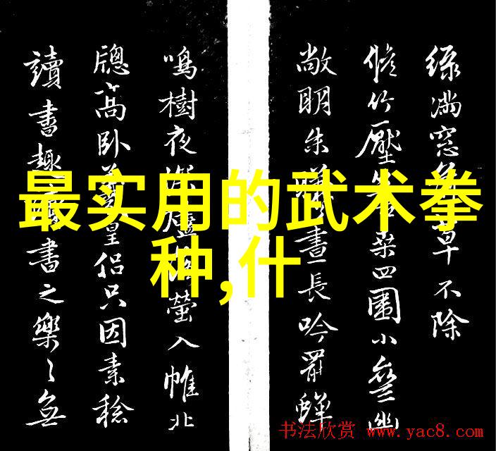 家中武学秘籍实用指南让你在家练成武术高手