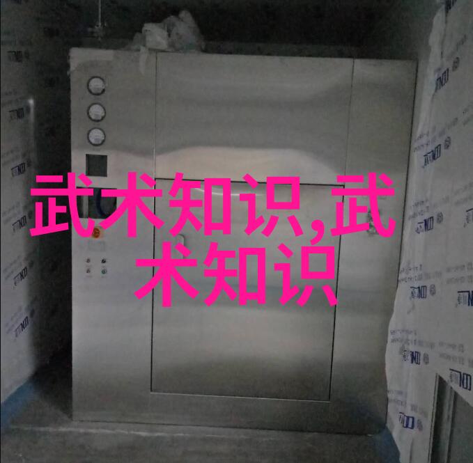 身手俱佳的武者如何运用拳法十六招式图解提升实战能力