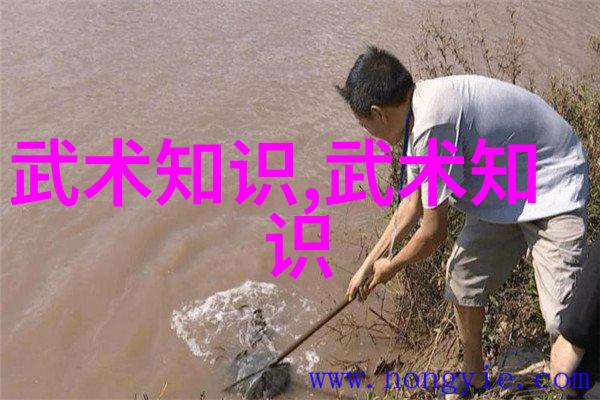 王文贤的太极拳套路核心要素身法秘籍之反复探究