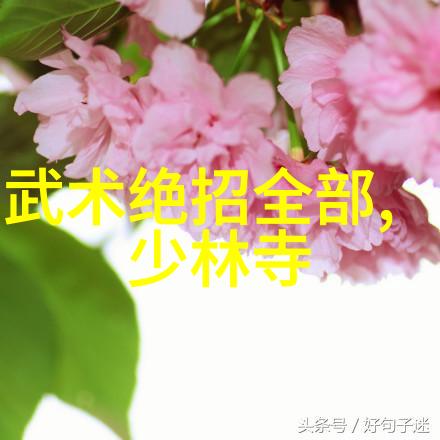 真空挤公交车有反应了-乘客们的奇妙互动真空挤公交车的意想不到回应