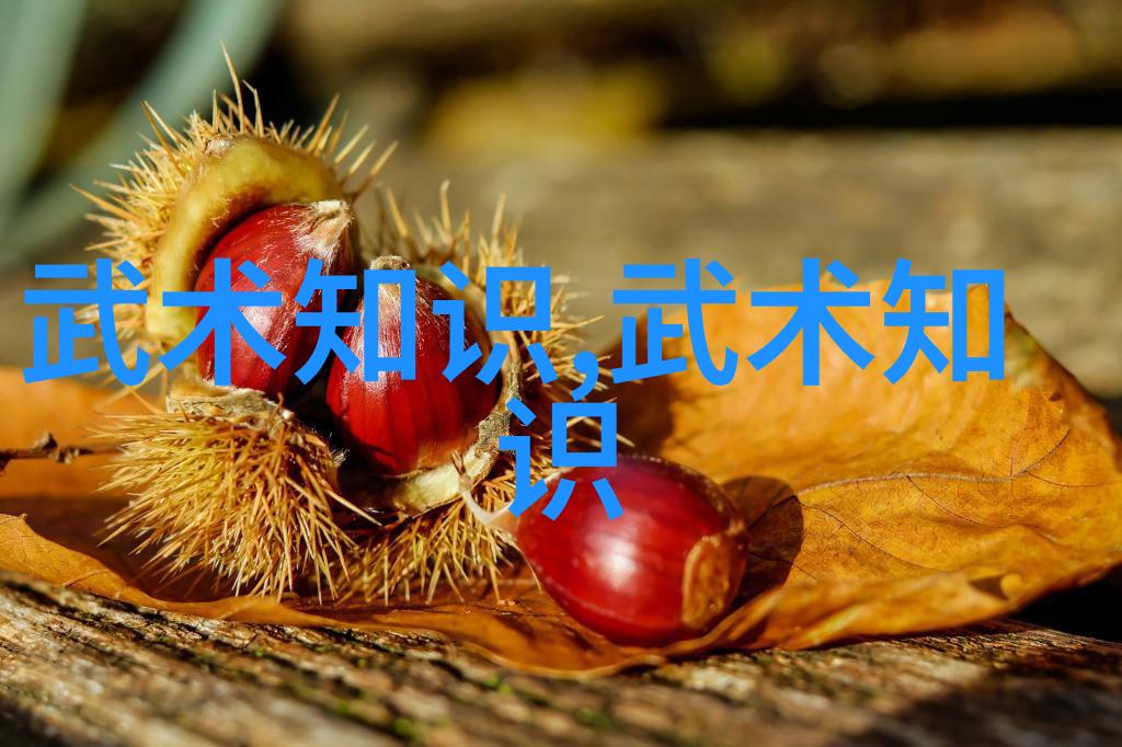 仙盟古风拳缠丝对峙