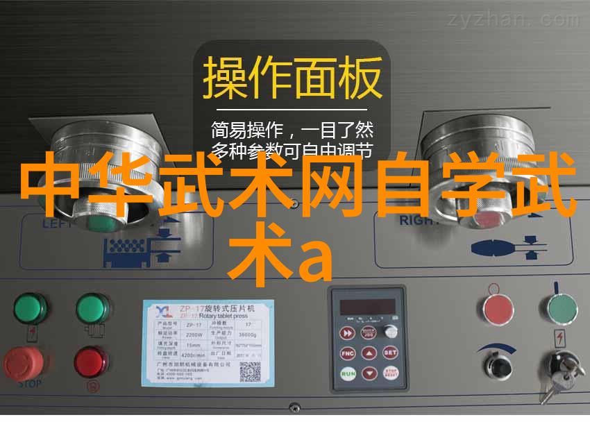传承不绝新一代继承者全国武术大赛回顾