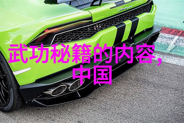武学大师的智慧分享深度剖析每一项基本动作背后的意义