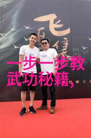 中华武学之巅揭秘太极拳的奥秘