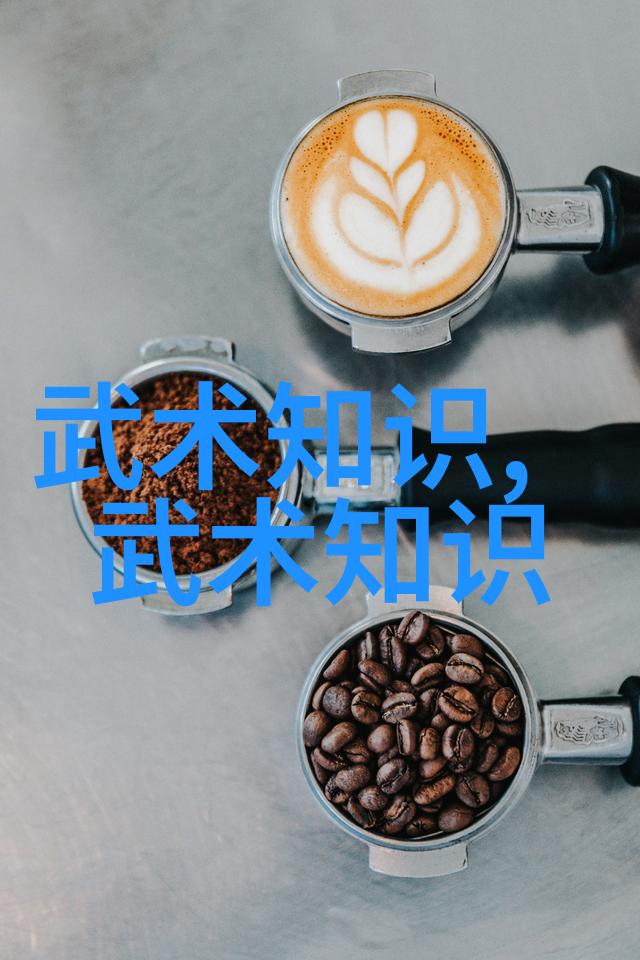 武林资讯呈现褚式文武荟萃在温州奥林匹克中心盛大登场