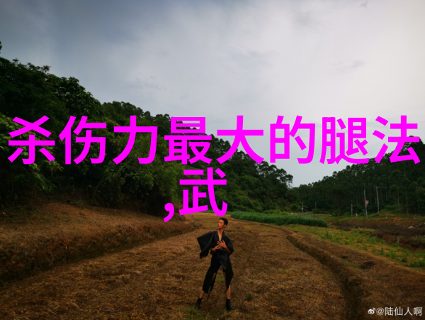 形意拳各流派比较形意拳内功形意拳招式