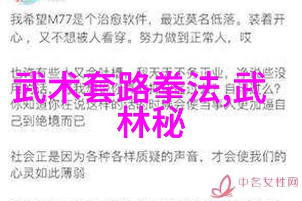 李小龙武术秘籍揭秘功夫教学视频中的无形力量
