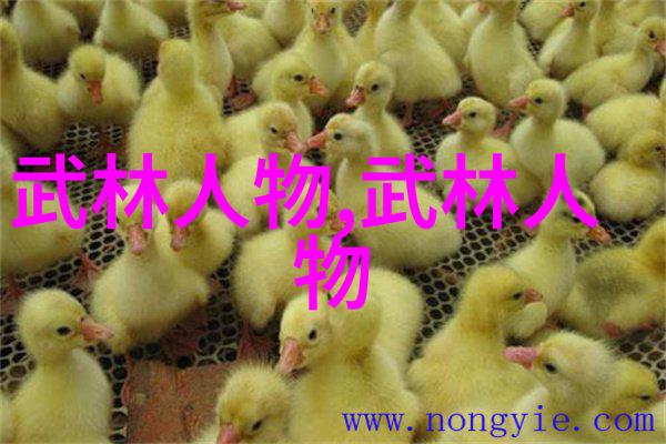 主动弹出少林武功秘籍大全在社会场景中实践