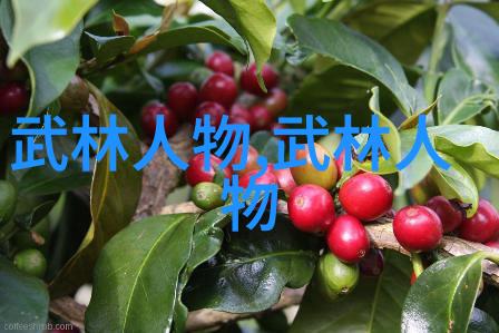 斐济如同雄鹰俯冲而下在2017年比尼亚德尔马七人制橄榄球赛中夺冠展现出它们在橄榄球界的霸主地位
