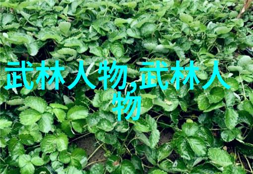 武林秘籍门派神秘名号