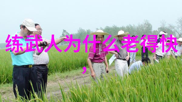 霸气十足帮派的秘密世界