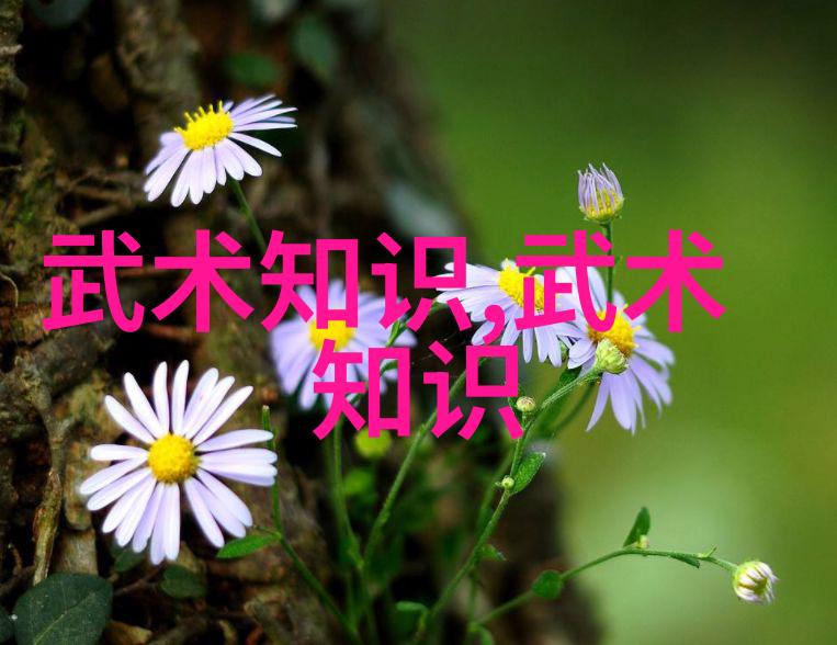 武术活动名称大全-拳击太极剑舞探秘武术活动的丰富魅力