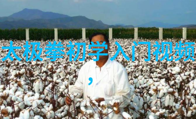 游戏世界中的宗门之名解读仙气飘飘背后的文化内涵
