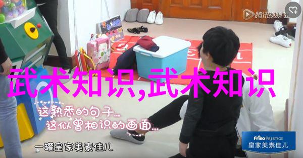 中国功夫门派实战排名武林至尊力量对比