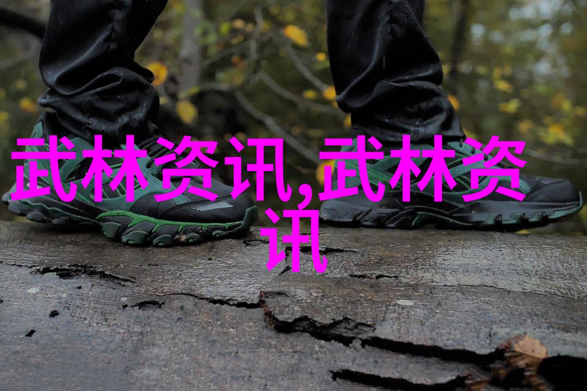 女子武侠的巅峰之旅探索以女子为主的门派传说