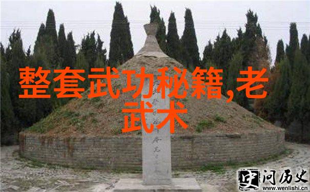 湖南武术门派我走遍了湖南每一路都有着独特的武学秘籍