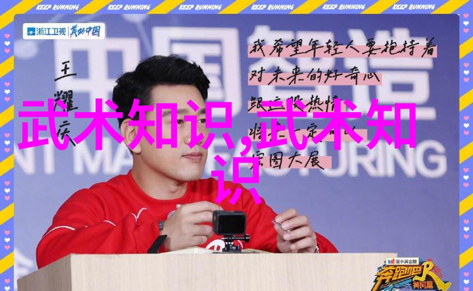 中国武术十大拳法排行榜揭秘古老技艺的精髓与魅力