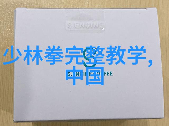 少林最厉害的拳法揭秘太极转腰胯技巧