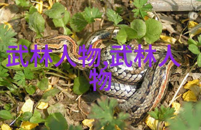 人物如何制定人流后适合的健身饮食计划
