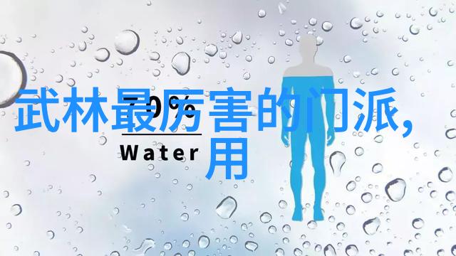 武林秘籍铸就江湖名 Swordsman