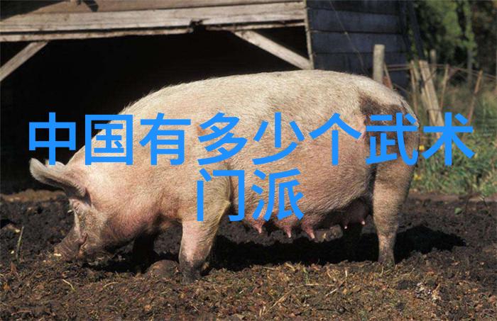 少林寺的武学神器揭秘最厉害的拳法