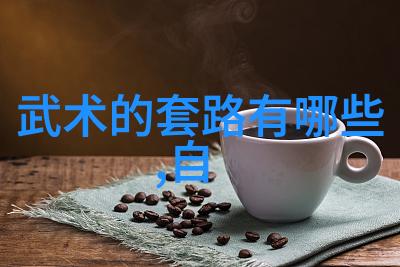 古今武学探秘内家外派之谜