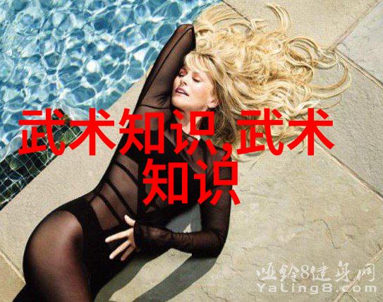 内家外派理解中国武功的两大门派