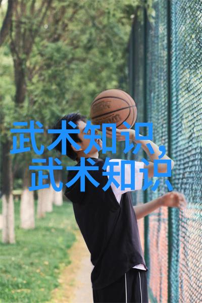 刃锋谱剪影武林