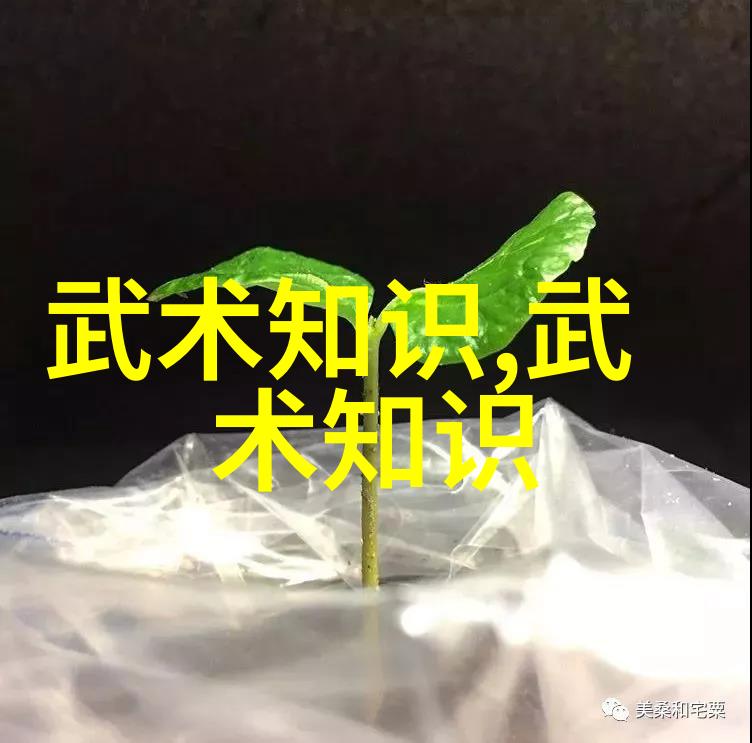 幻境传说揭秘梦回古今这四个字背后的世界