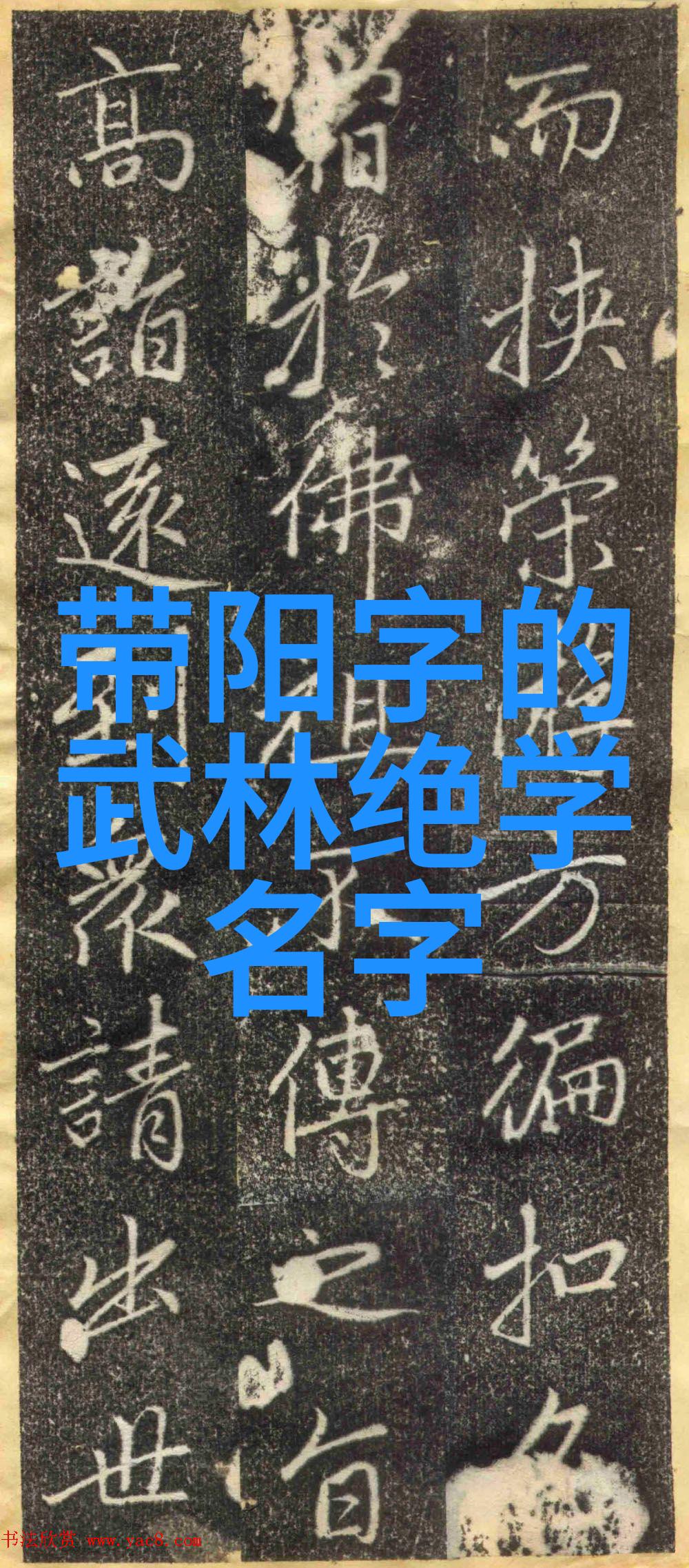 中国武术拳法之研究探索内外兼修的精髓