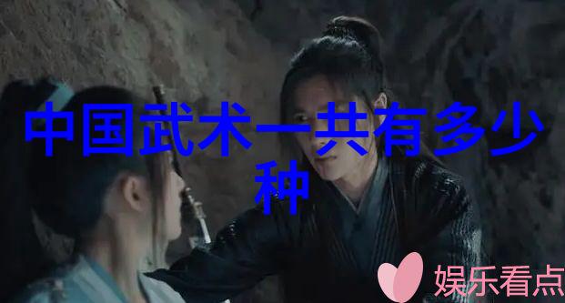 探秘全球拳法之巅揭秘世界上最狠的击打技巧