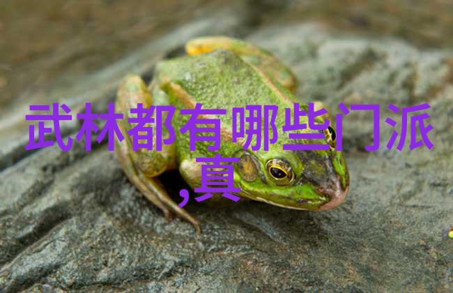 武林巅峰程家绝学八卦掌之冠