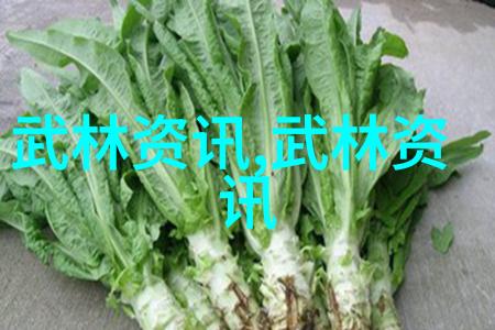 云雾缭绕的武当传人