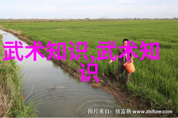 复仇者联盟单手哑铃飞鸟胸肌与核心联合起舞