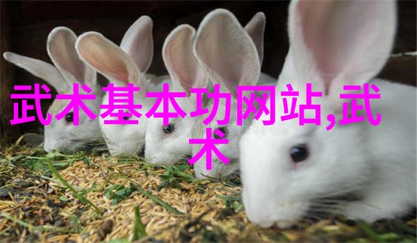 数据驱动探究中国功夫中太极拳内养外的实效性