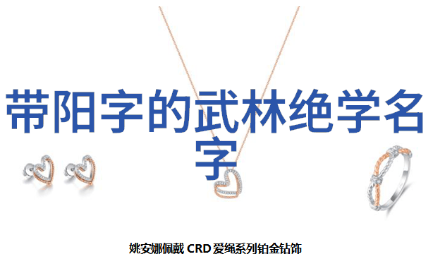 太极拳24式分解动作教学内功练习之美妙法门
