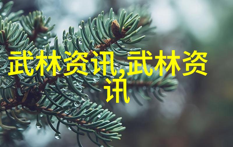 太极拳的24个姿势教你如何在家里不吵声地打架