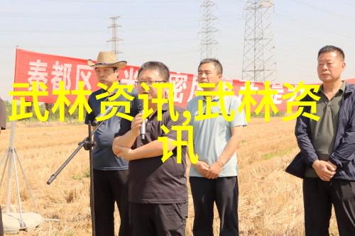 劈云斩霜揭秘古代武术训练方法的奥秘