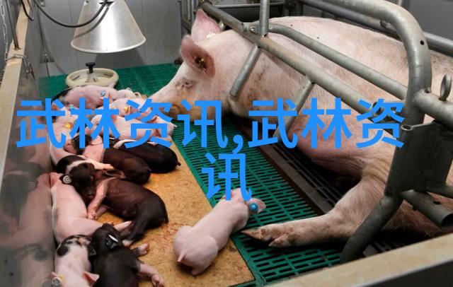 奇马耶夫在巴西的自然风光中挑战佩雷拉后续将对决考文顿