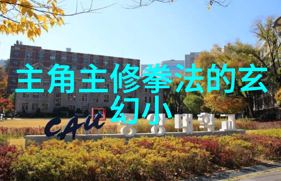 云南游记在爱伲寨遭遇抢婚