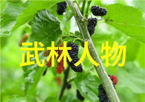 少林五拳之豹拳-凌召